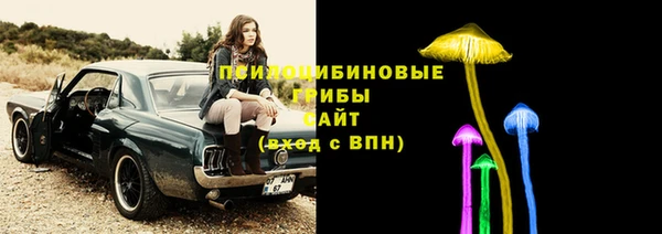 ALPHA-PVP Бугульма