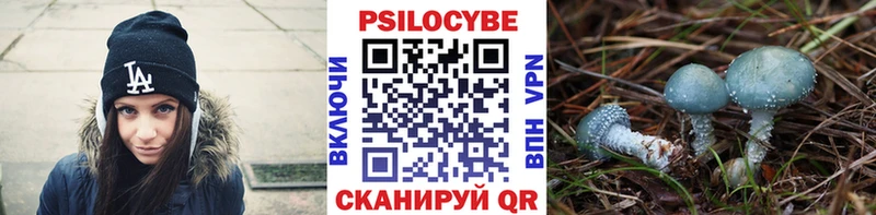 Галлюциногенные грибы мухоморы  Купить закладки  Чегем 